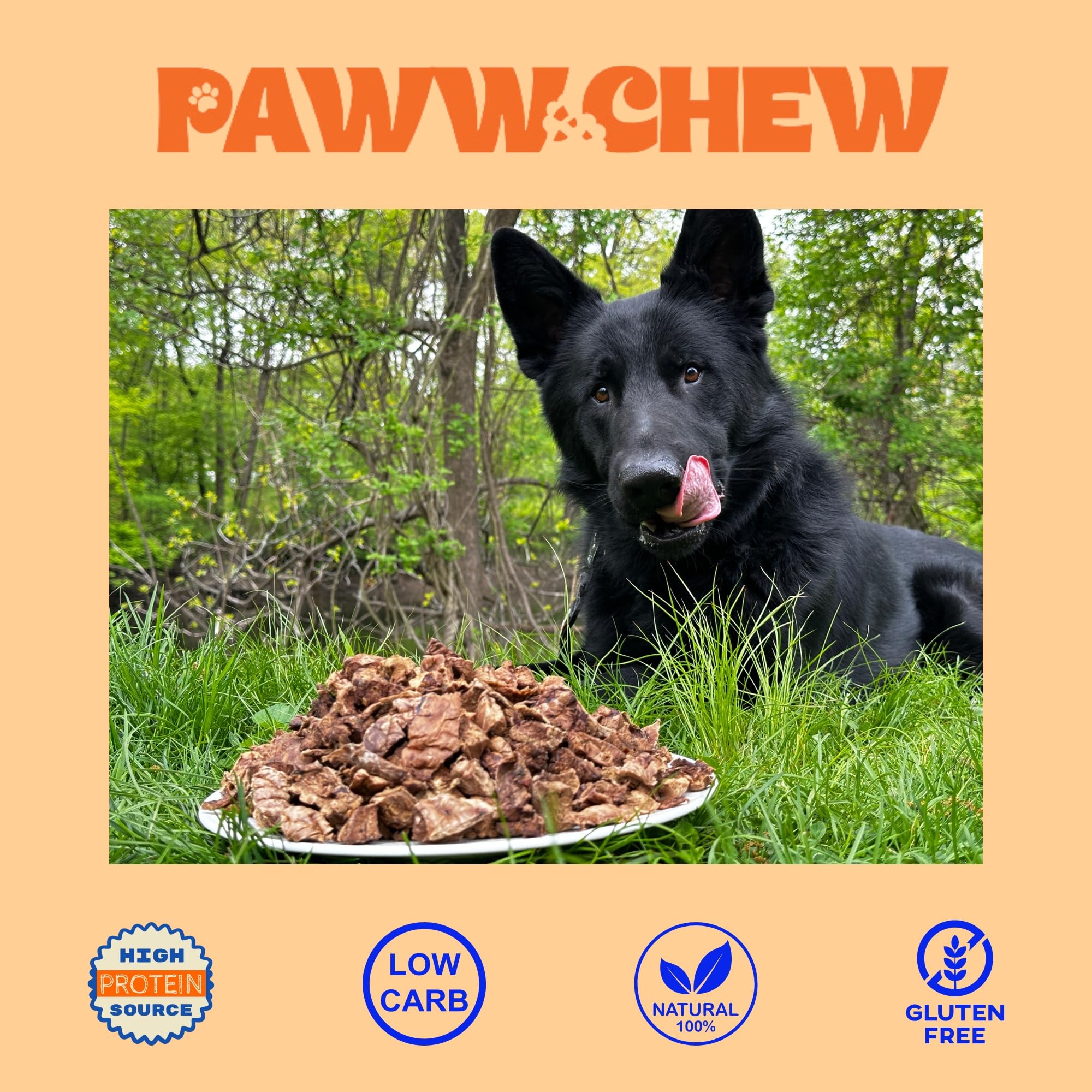 PAWW CHEW comparación con mano humana para escala, porciones controladas