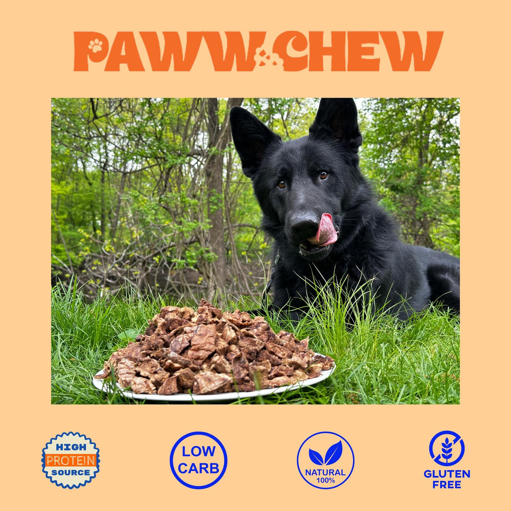 PAWW CHEW comparación con mano humana para escala, porciones controladas