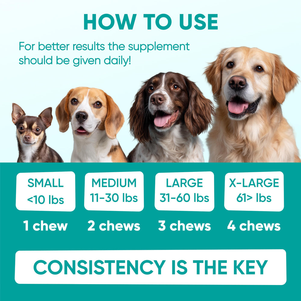 Pawzitive Pets sello made in USA indicando control de calidad y confianza