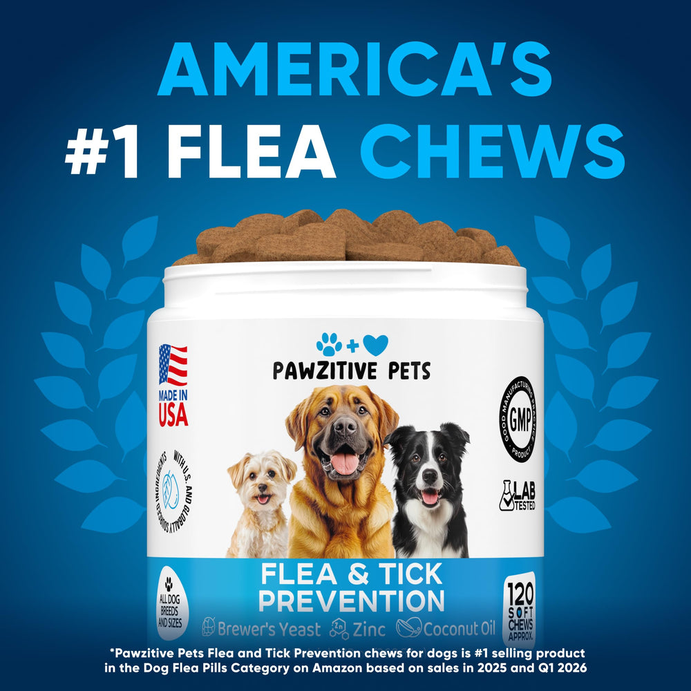 Pawzitive Pets masticable en primer plano, aspecto apetitoso y fácil administración