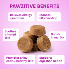 Pawzitive Pets perro tomando masticable aliviando picor inmediatamente