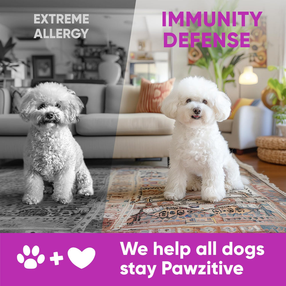 Pawzitive Pets perro con piel y pelaje mejor condición tras uso regular