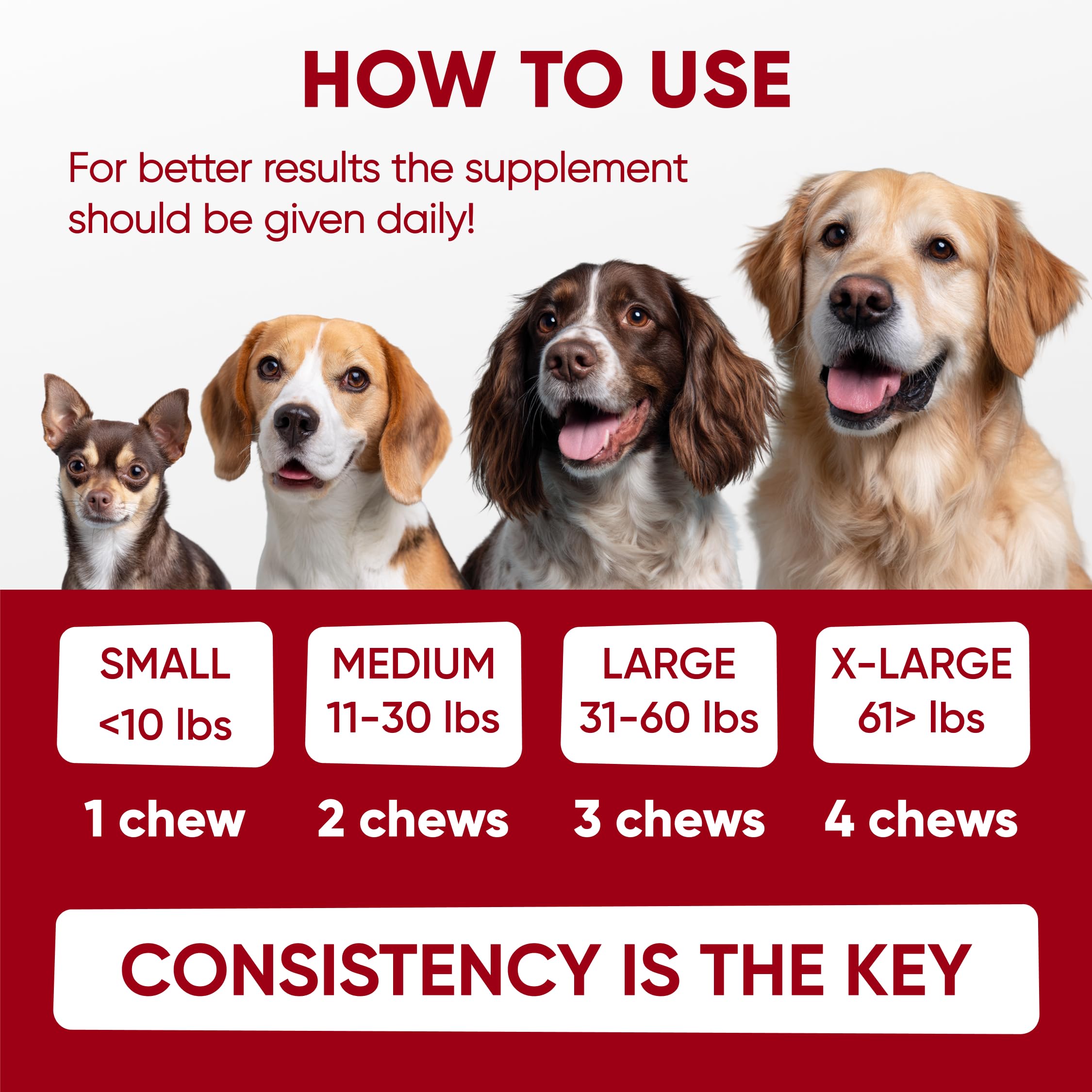 Pawzitive Pets con veterinario en consulta destacando recomendación profesional