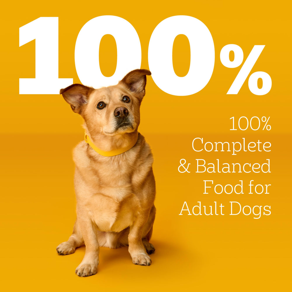Pedigree usado como topper sobre pienso seco, añade sabor e hidratación