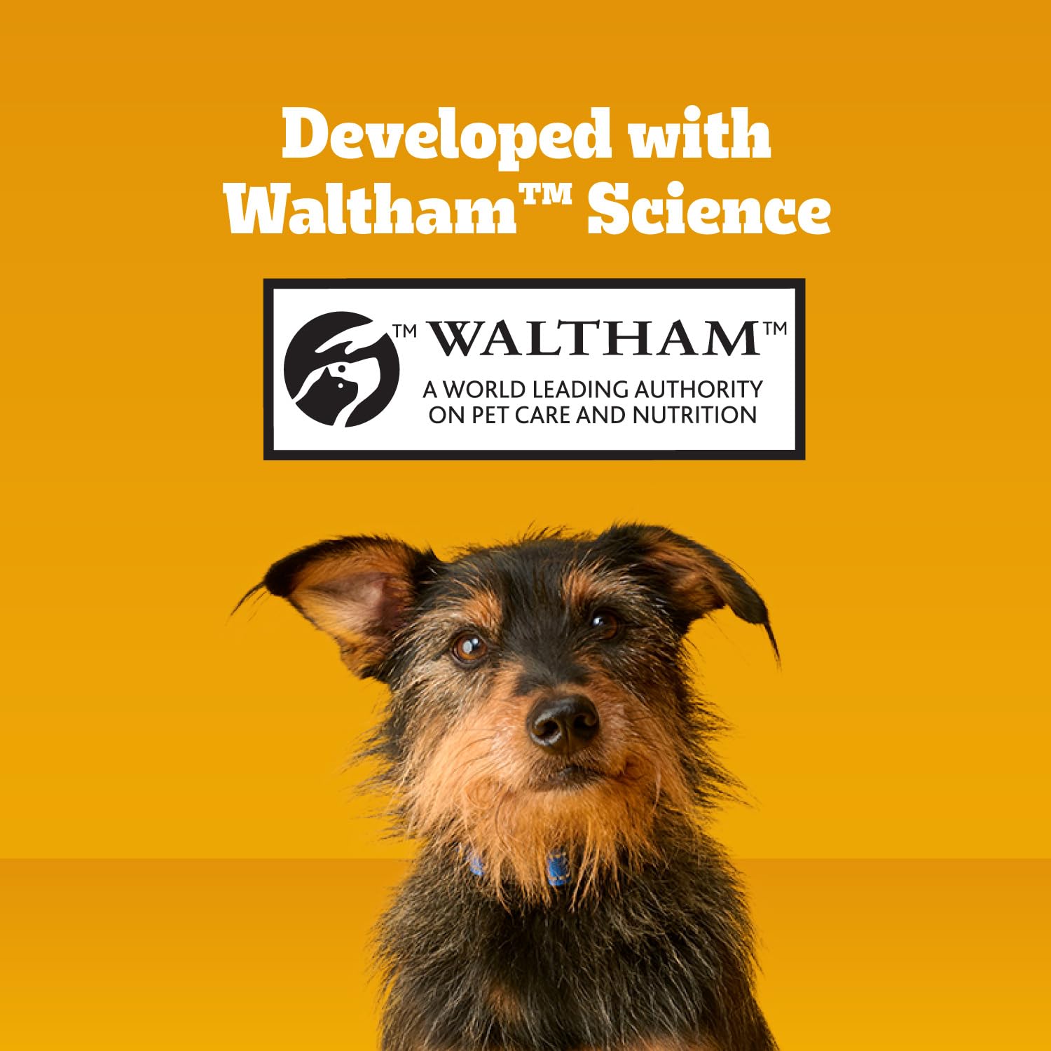Pedigree Dentastix etiqueta nutricional detalle sin azúcares añadidos
