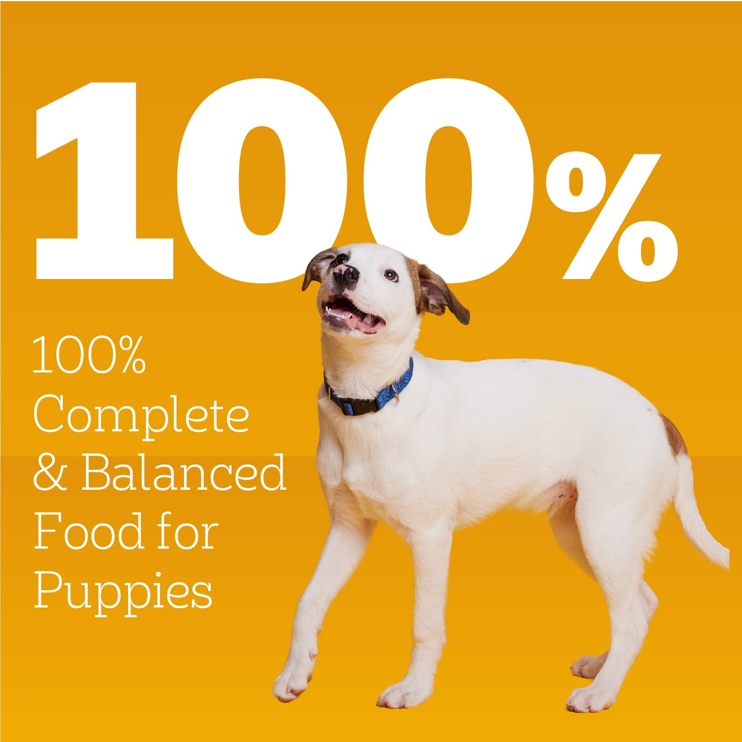 Pedigree nutrition label view showing ingredients and balanced puppy benefits