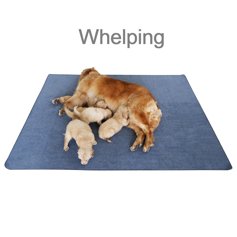 peepeego en paridera absorbe y mantiene limpios los cachorros