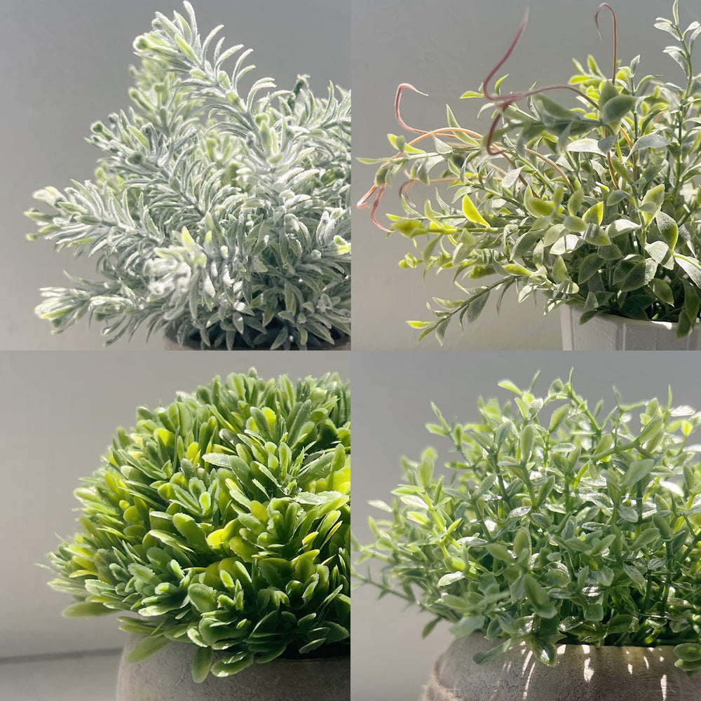 PENGYEE en baño sin ventana, verde sin necesidad de luz
