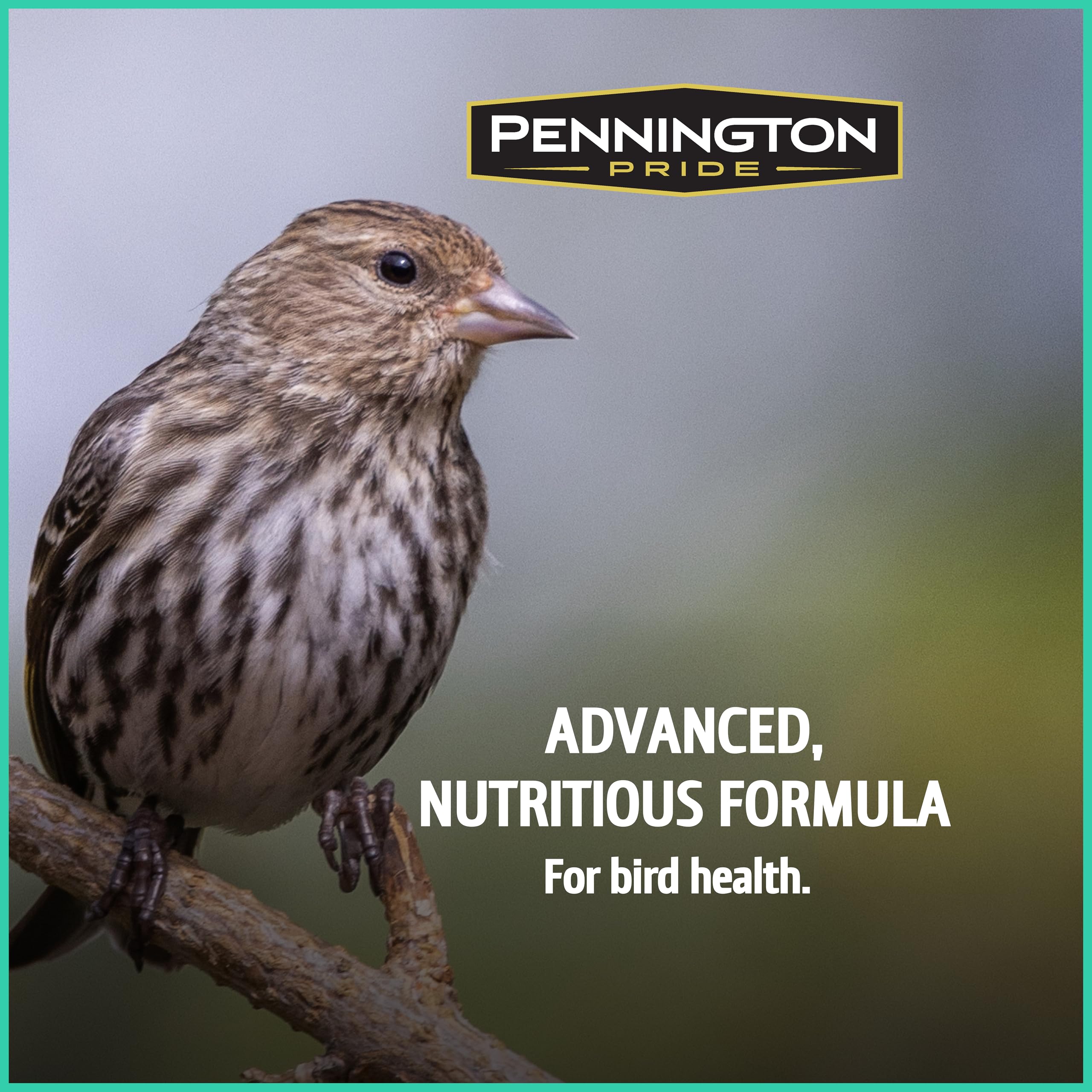 Pennington mezcla en comedero tubo, alimentación práctica y limpia