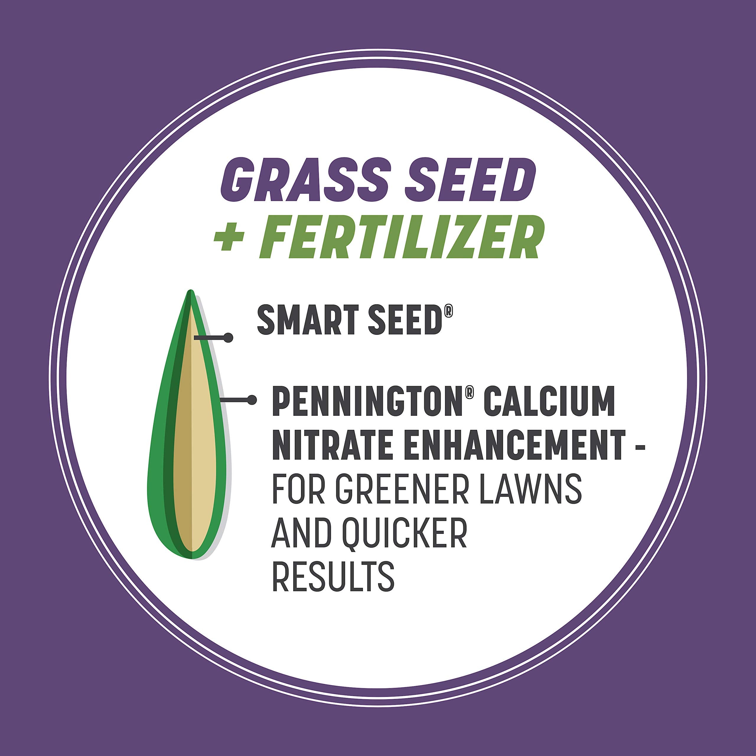 New Pennington seedlings sprouting showing quick establishment benefit