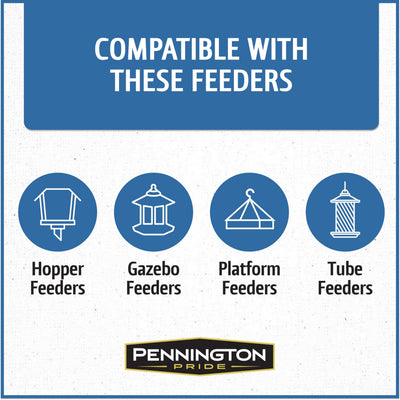 Pennington semilla en comedero de plataforma atrayendo aves diversas