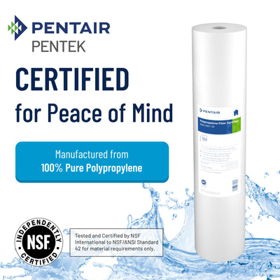 Pentek DGD-5005-20 installed inside a Big Blue housing protecting plumbing and appliances