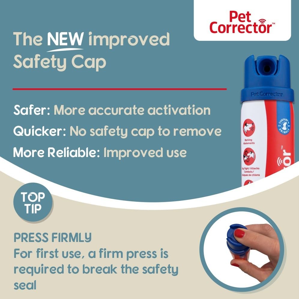 Pet Corrector en salón doméstico durante sesión de adiestramiento