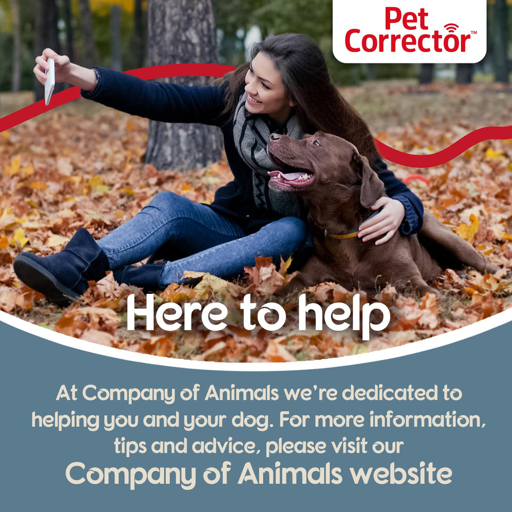 Pet Corrector junto a mano para comparar escala y facilidad de manejo