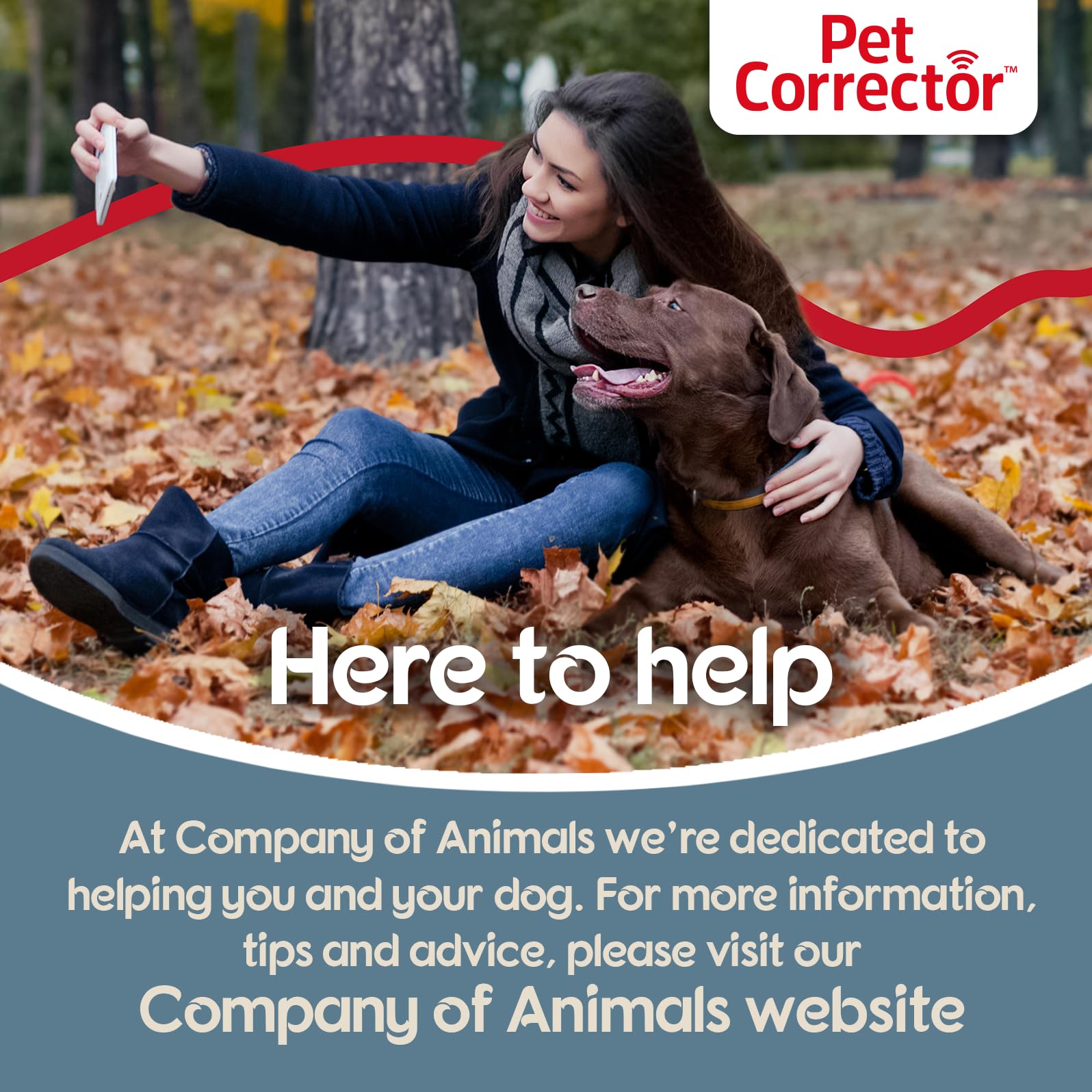 Pet Corrector en mano para comparar escala y facilidad de manejo