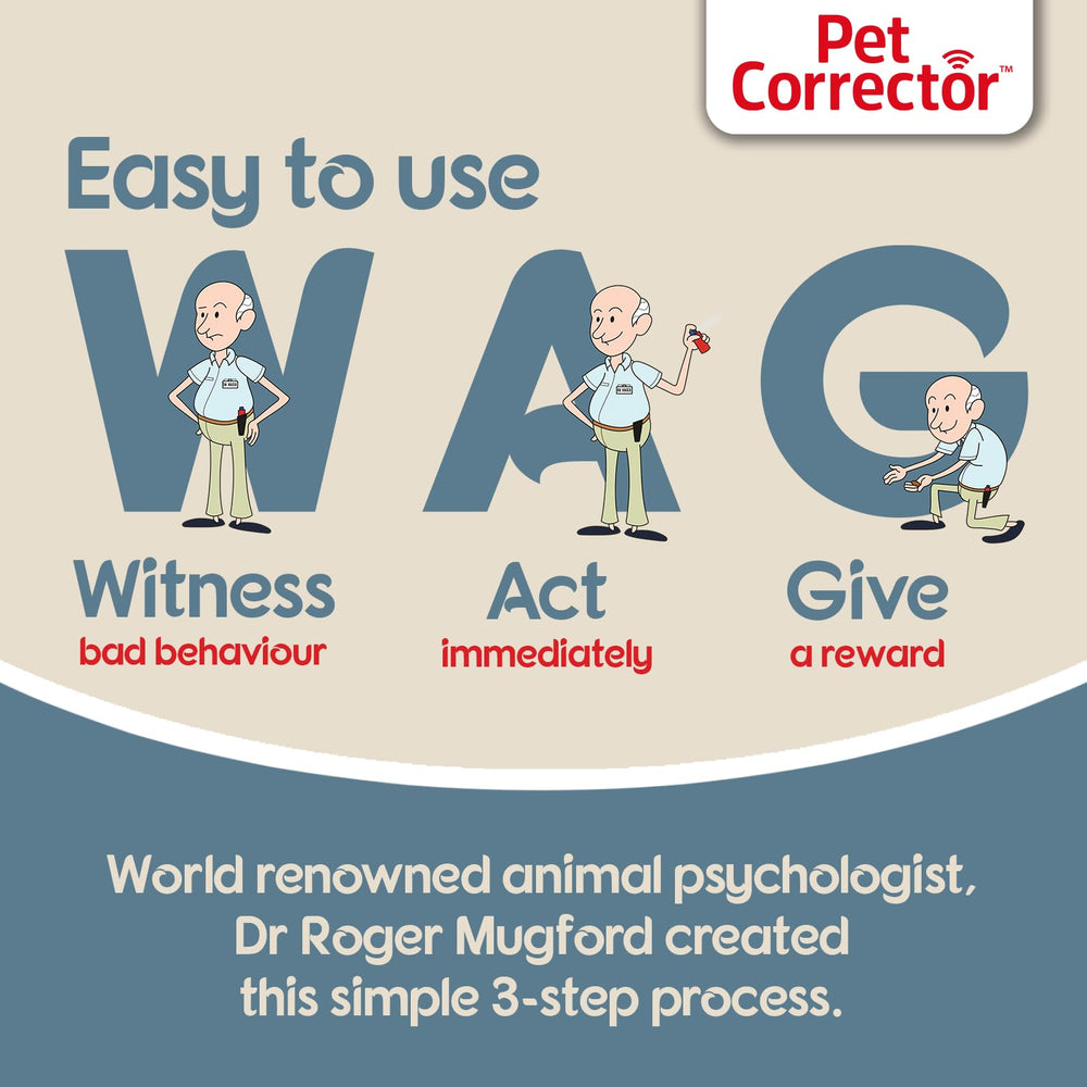 Pet Corrector envase 50ml mostrando capacidad y forma práctica
