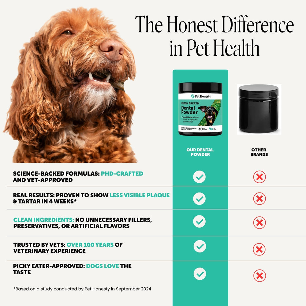 Pet Honesty perro con sonrisa saludable en entorno hogareño, confianza