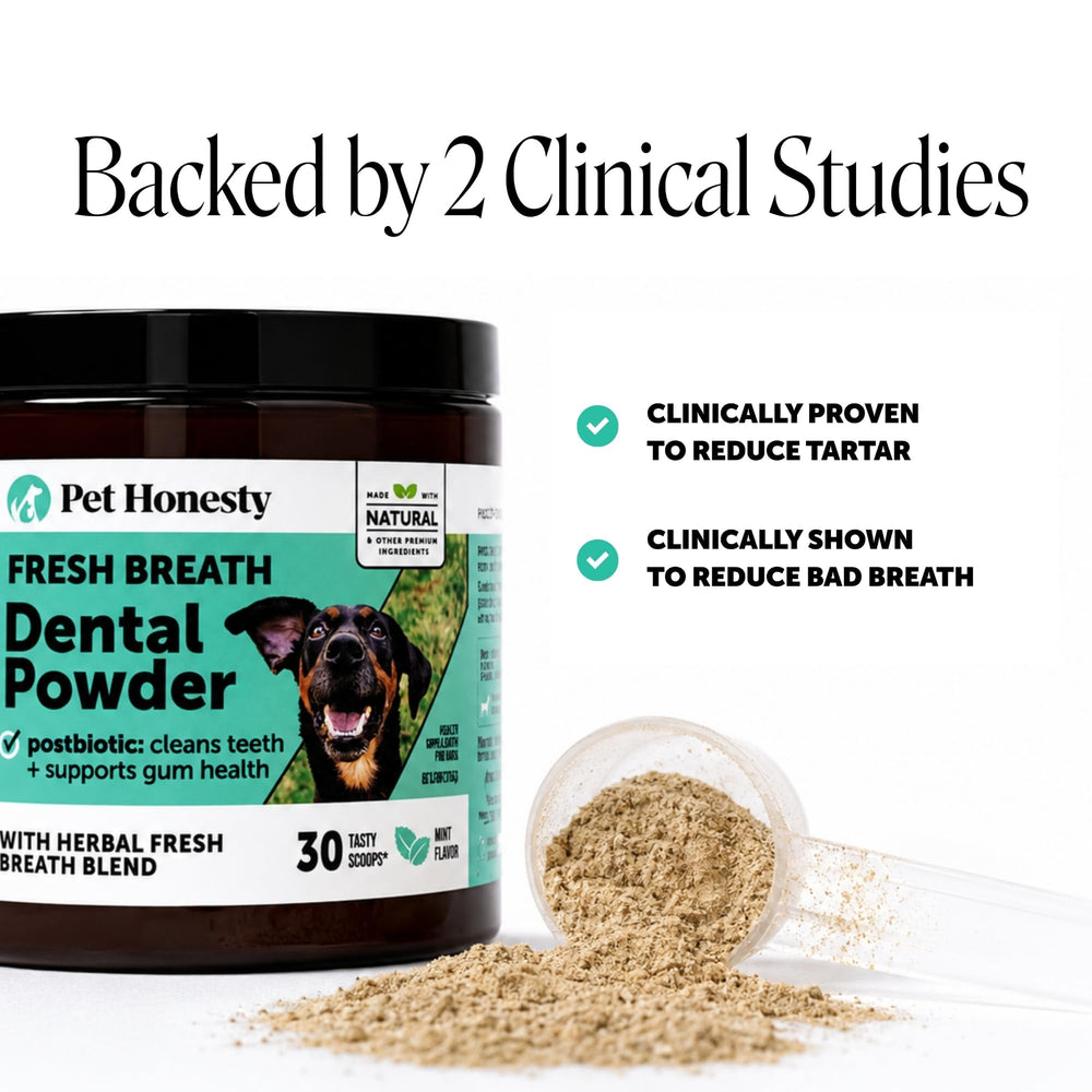 Pet Honesty cuchara dosificadora junto a porción de polvo, control de dosis