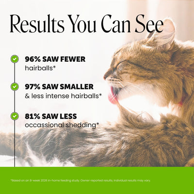 Pet Honesty dual-texture treat close-up highlighting crunchy shell and creamy center