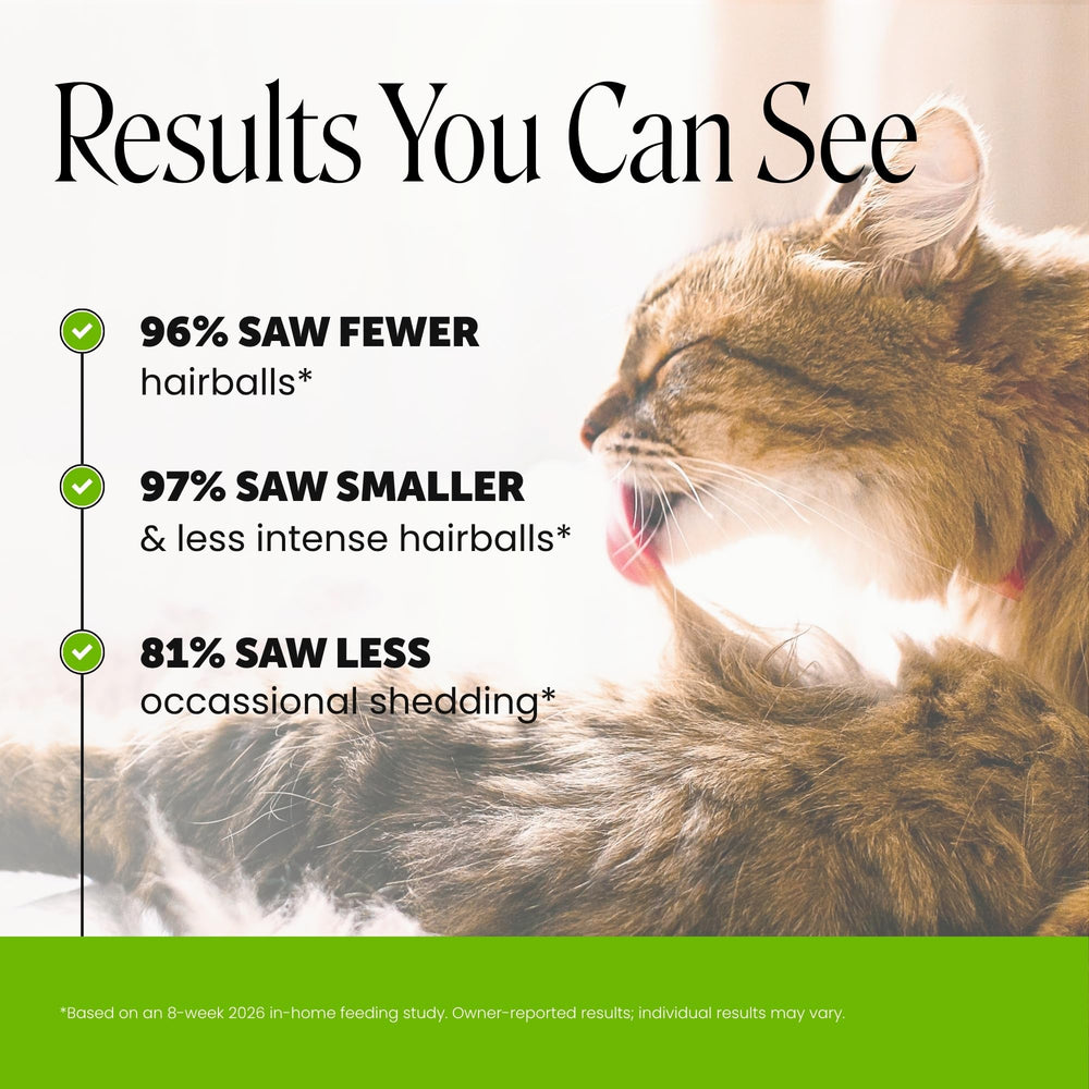 Pet Honesty dual-texture treat close-up highlighting crunchy shell and creamy center