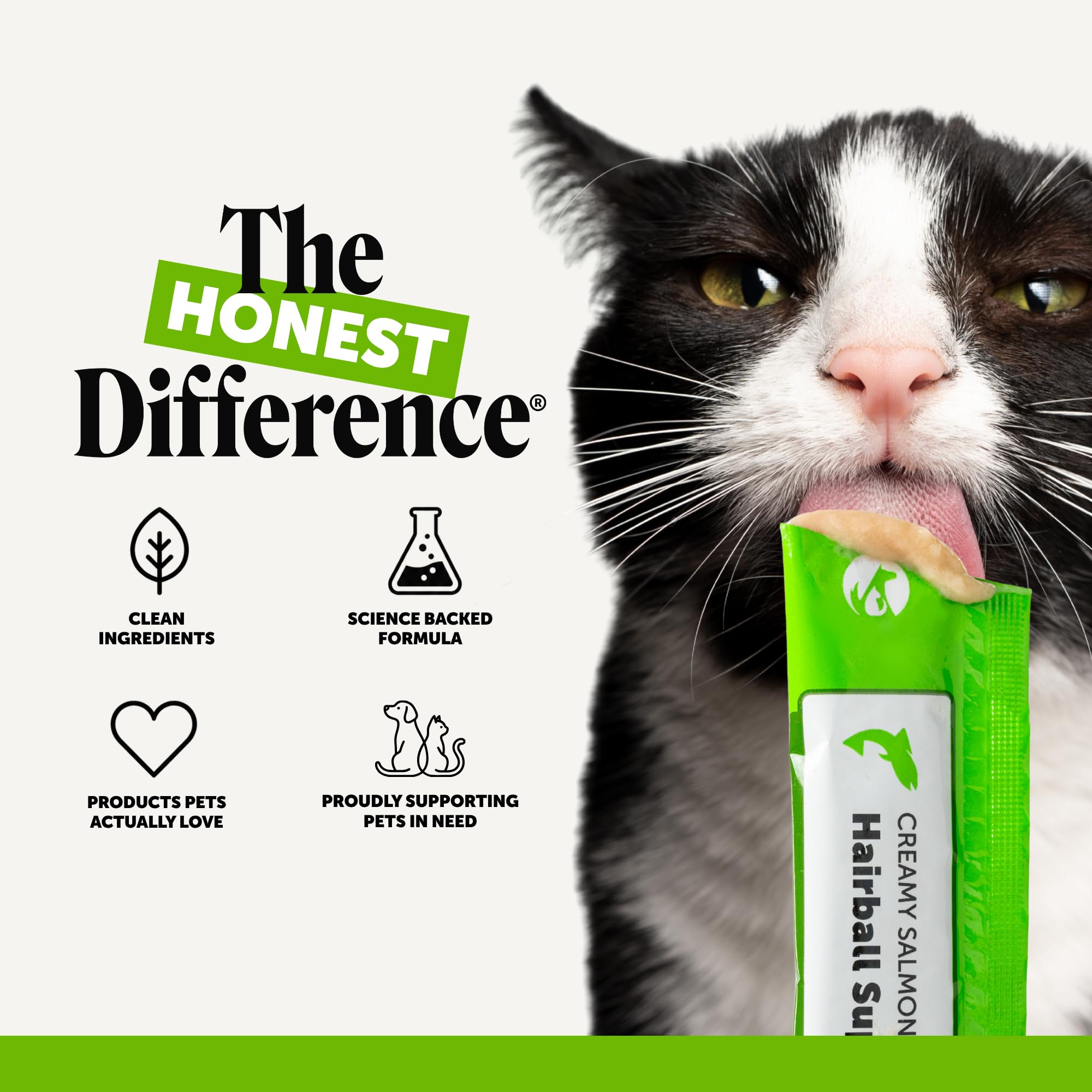 Pet Honesty gato en interior recibiendo el puré para apoyo de pelaje