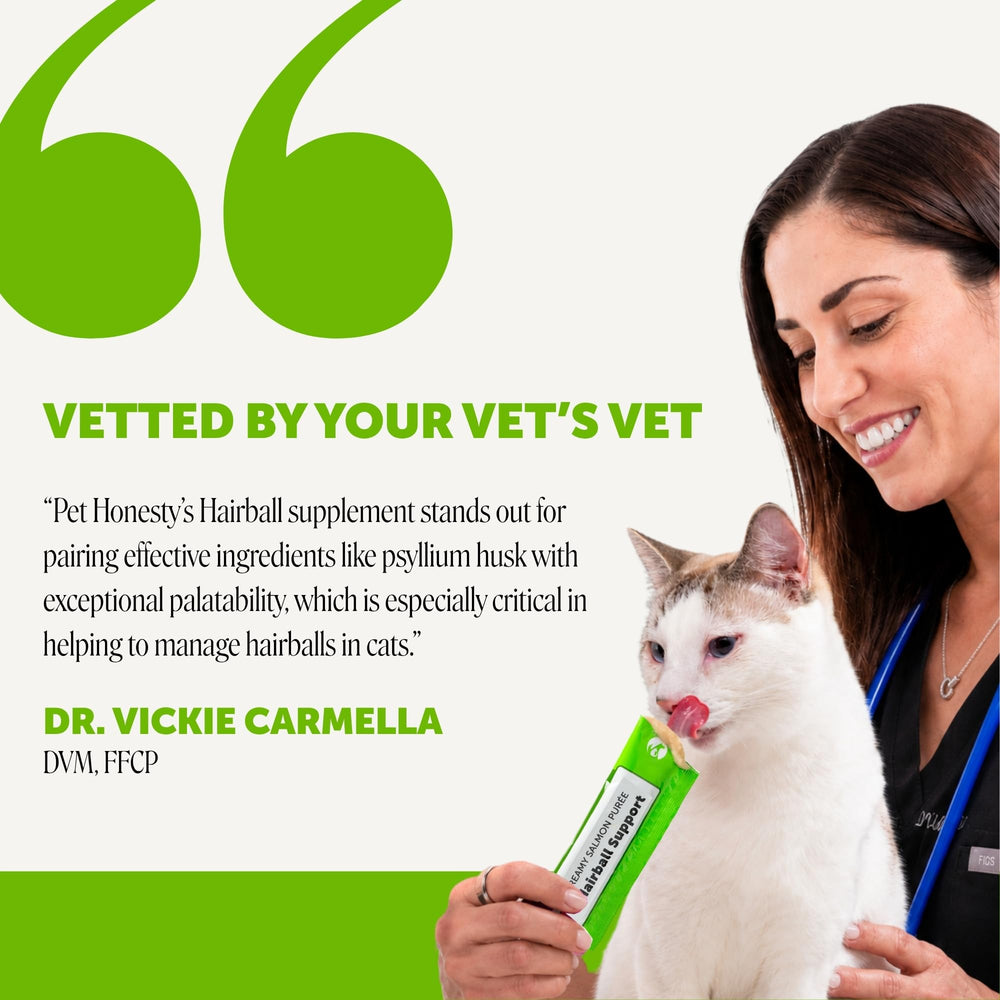 Pet Honesty gato lamiendo el pouch y disfrutando sabor a salmón