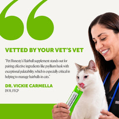 Pet Honesty gato lamiendo el pouch y disfrutando sabor a salmón