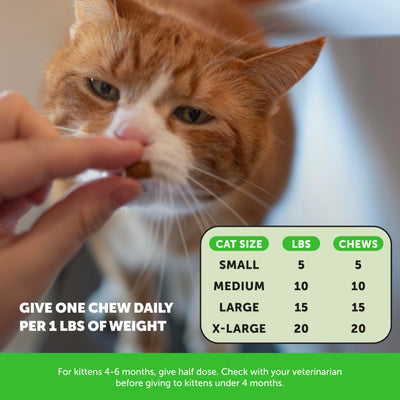 Pet Honesty treats staged in a living room to show home use and lifestyle fit