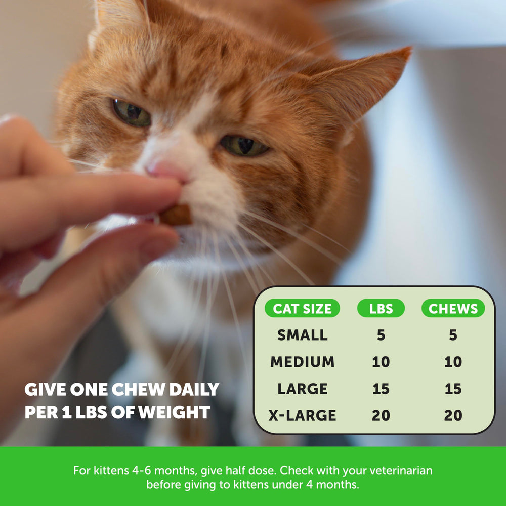 Pet Honesty treats staged in a living room to show home use and lifestyle fit