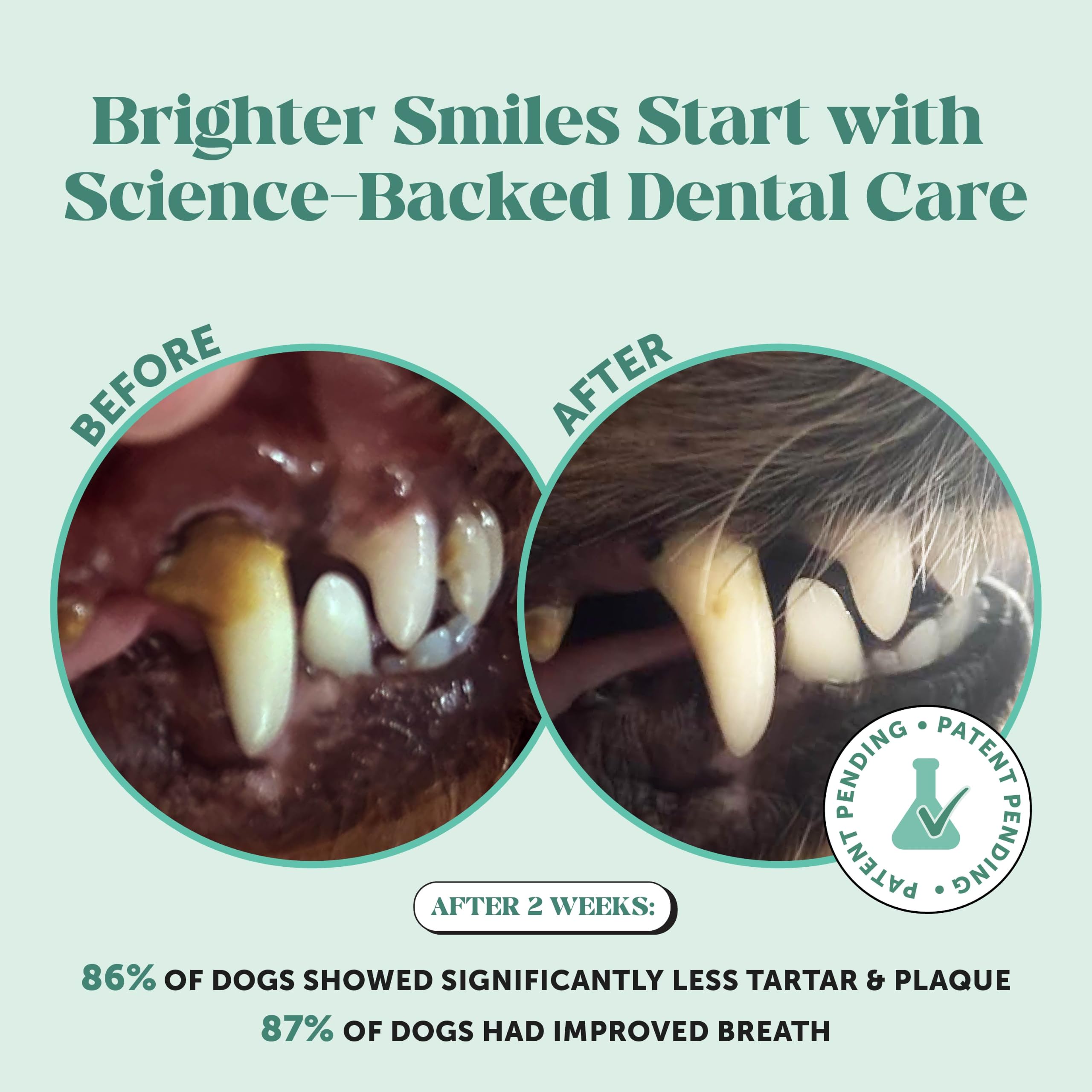 Pet Honesty polvo dental espolvoreado sobre pienso, facilita la administración
