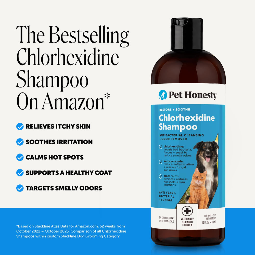 Pet Honesty aplicando champú en perro para aliviar picor y limpiar