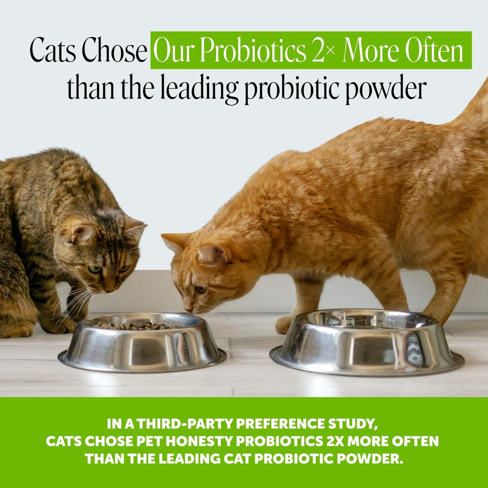 Pet Honesty primer plano de textura crujiente y núcleo cremoso, atractivo paladar
