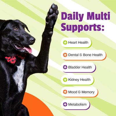 Pet Naturals chews in a hand to show size and easy daily dosing for dogs