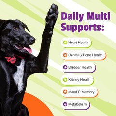 Pet Naturals chews in a hand to show size and easy daily dosing for dogs