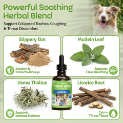 Pet Wellbeing etiqueta con ingredientes y respaldo veterinario visible