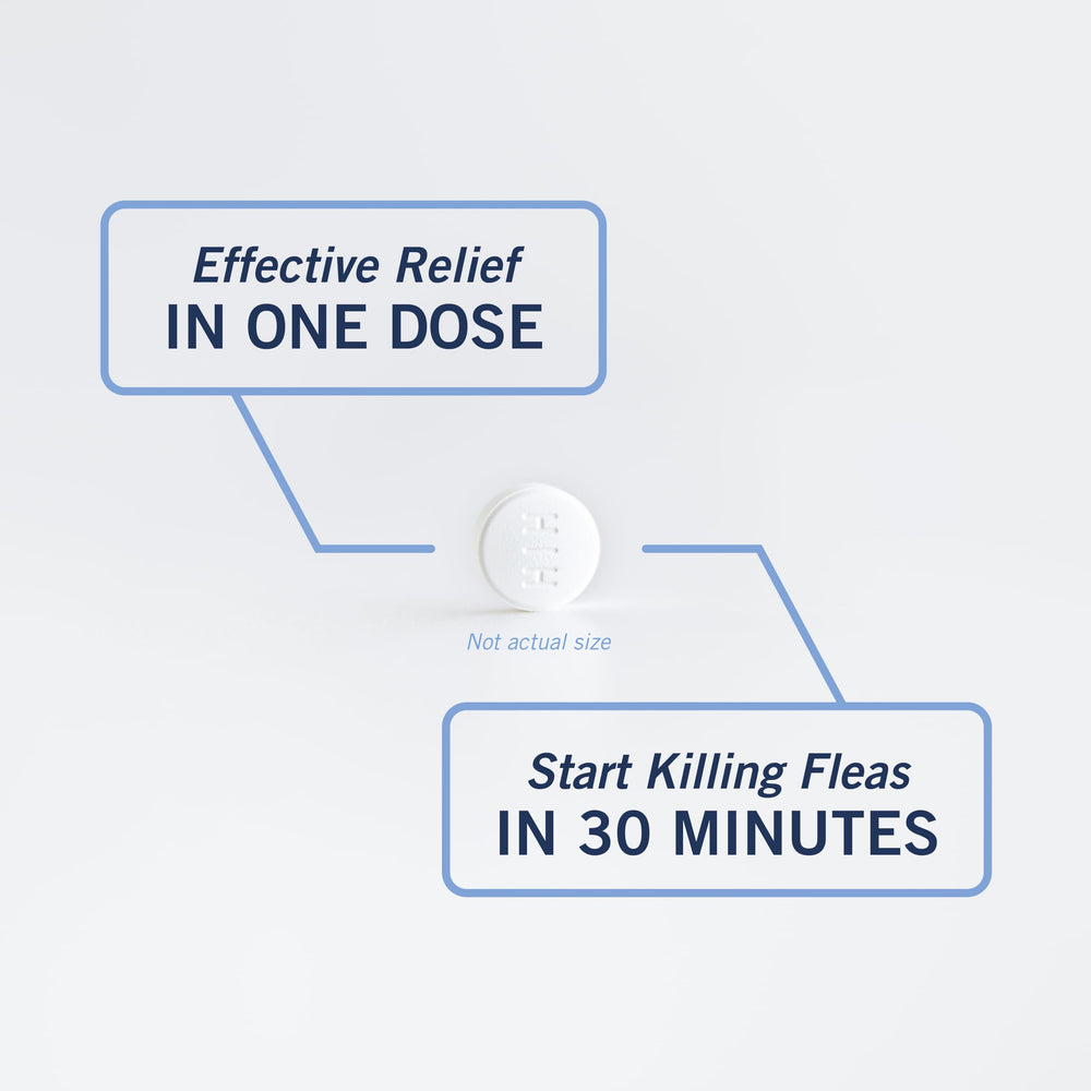 PetArmor CAPACTION open pack with six doses showing ready-to-use convenience