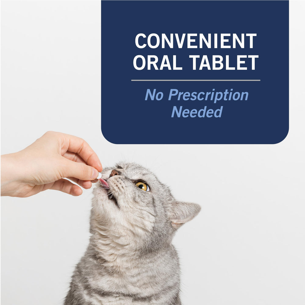 PetArmor CAPACTION tablet next to ruler showing correct size for dosing
