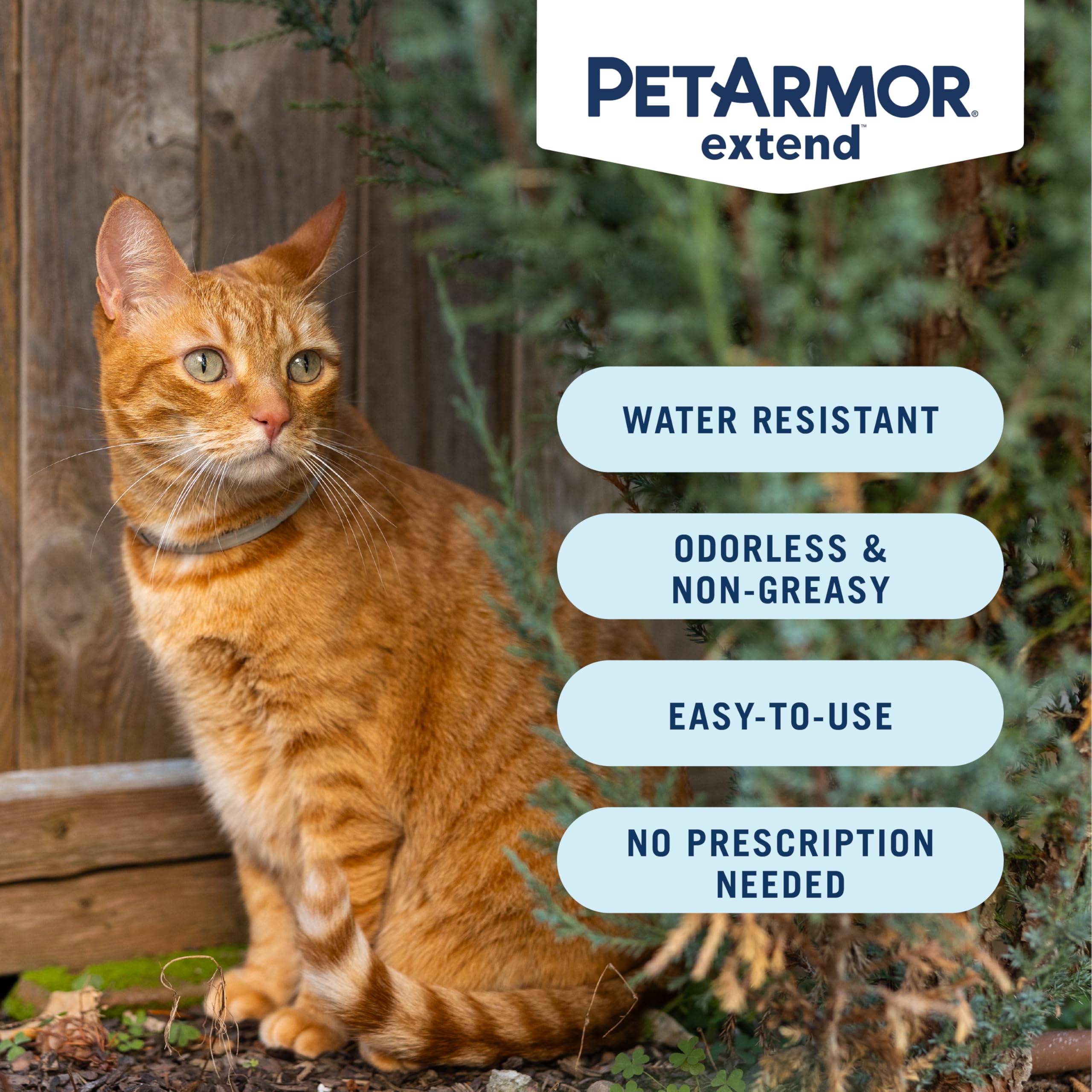 PetArmor cierre del collar visible para colocar y asegurar fácilmente