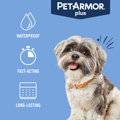 Mascota al aire libre protegida con PetArmor Plus mostrando tranquilidad
