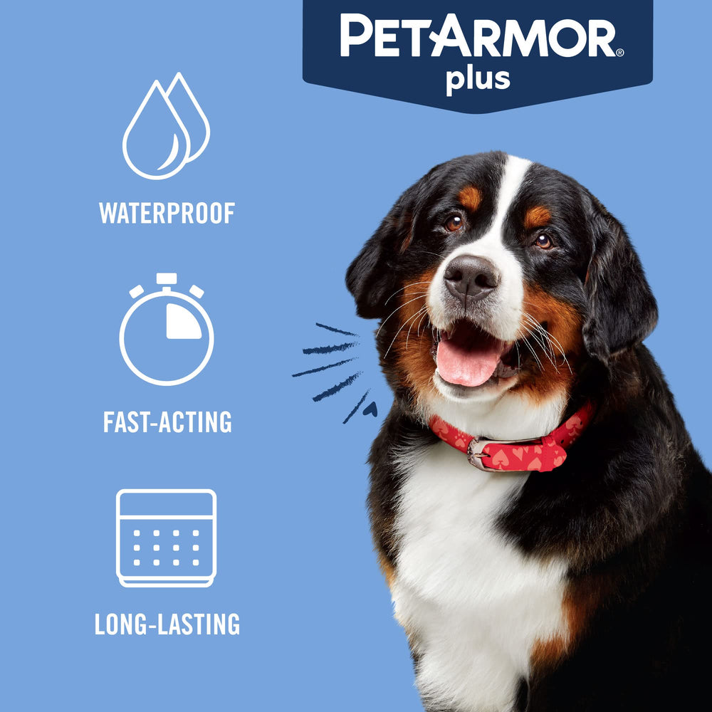 Comparación de tamaño de ampolla PetArmor Plus para perros grandes
