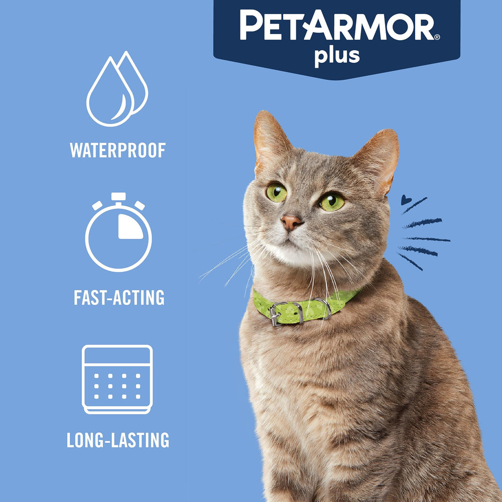PetArmor plus en gato al aire libre protege contra garrapatas