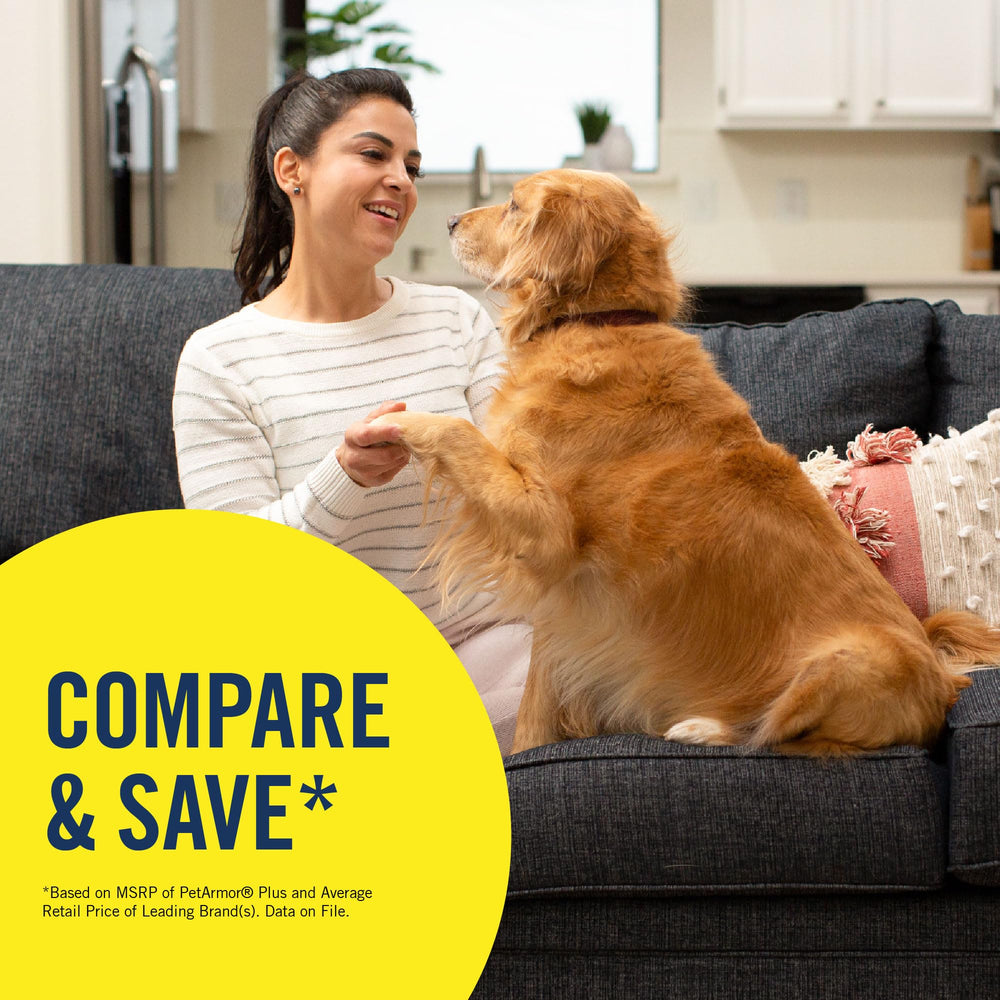 PetArmor waterproof claim shown with dog playing in water safely