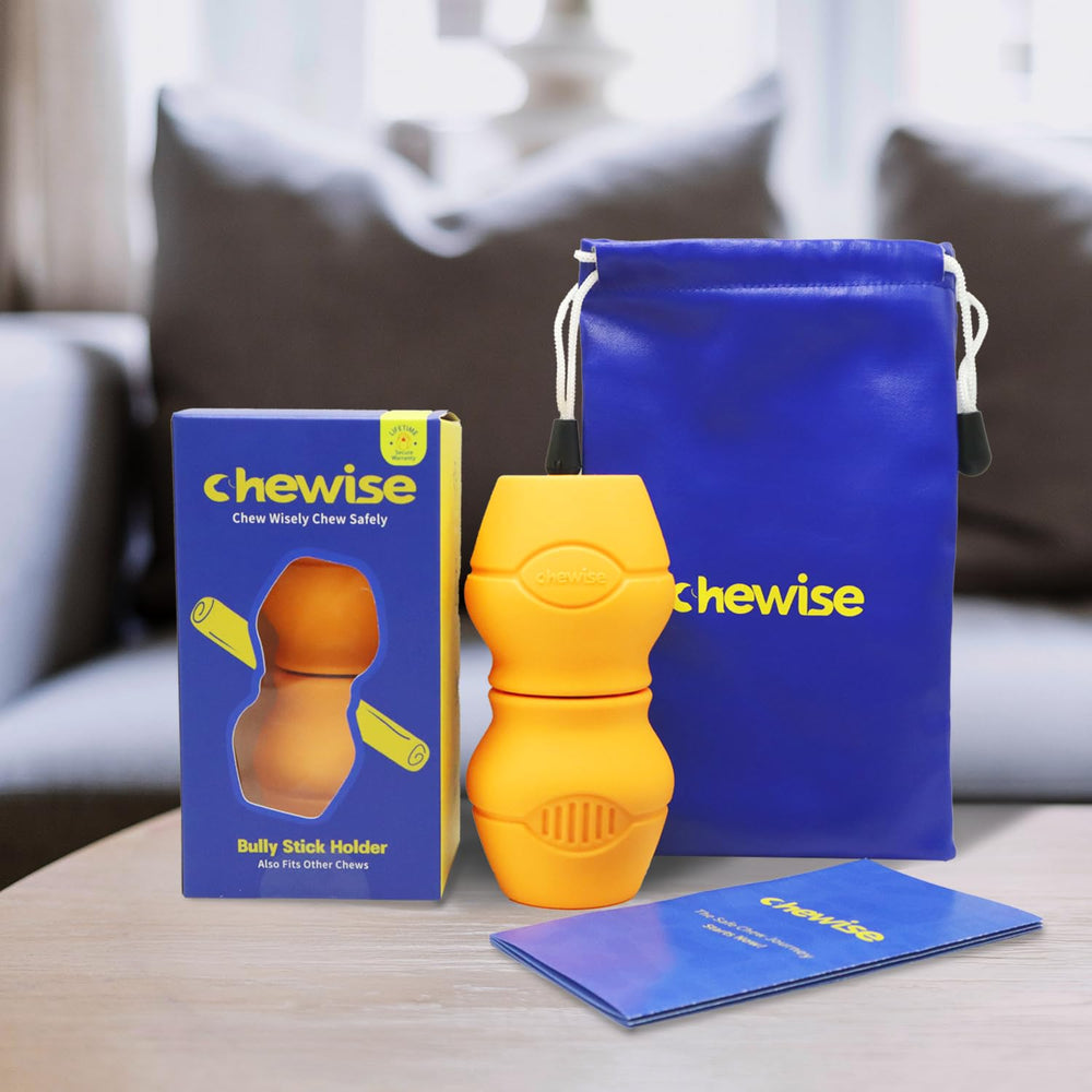 Ambiente doméstico con PetClan Chewise en uso durante la rutina diaria