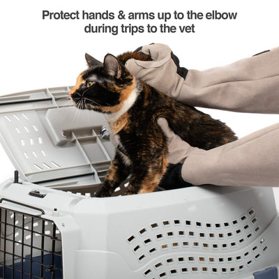 PetFusion sleeve and forearm coverage detail for added protection