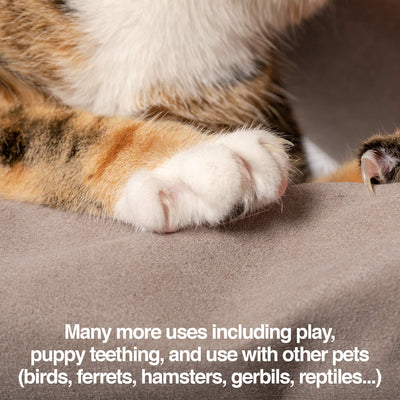 PetFusion glove staged in bathroom showing easy bath-time cleanup