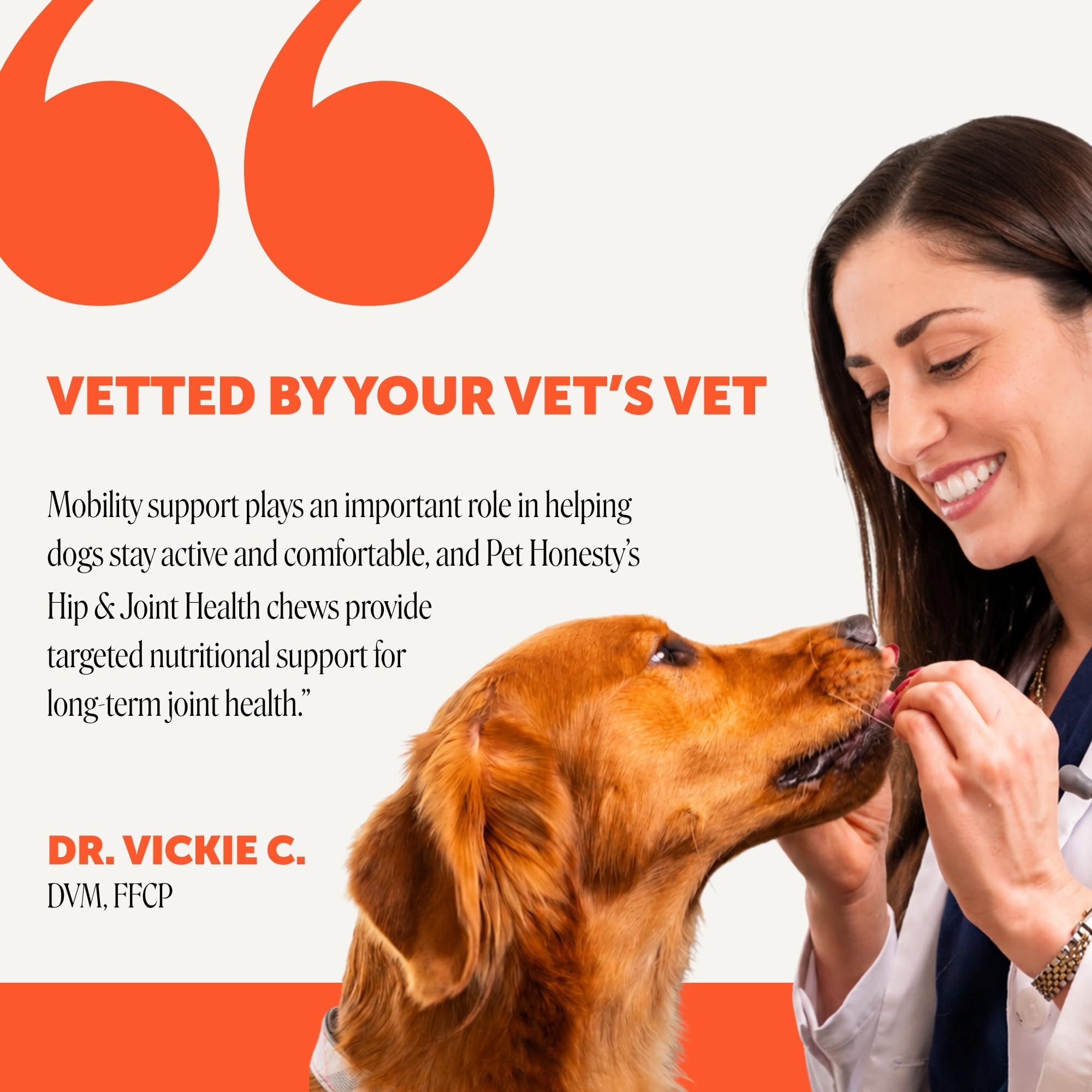 Pet Honesty masticable en mano del dueño, administración cómoda y rápida