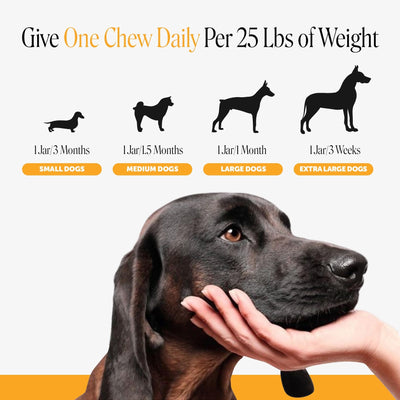 Pet Honesty perro disfrutando la chuche, ayuda a mejorar la adherencia al tratamiento