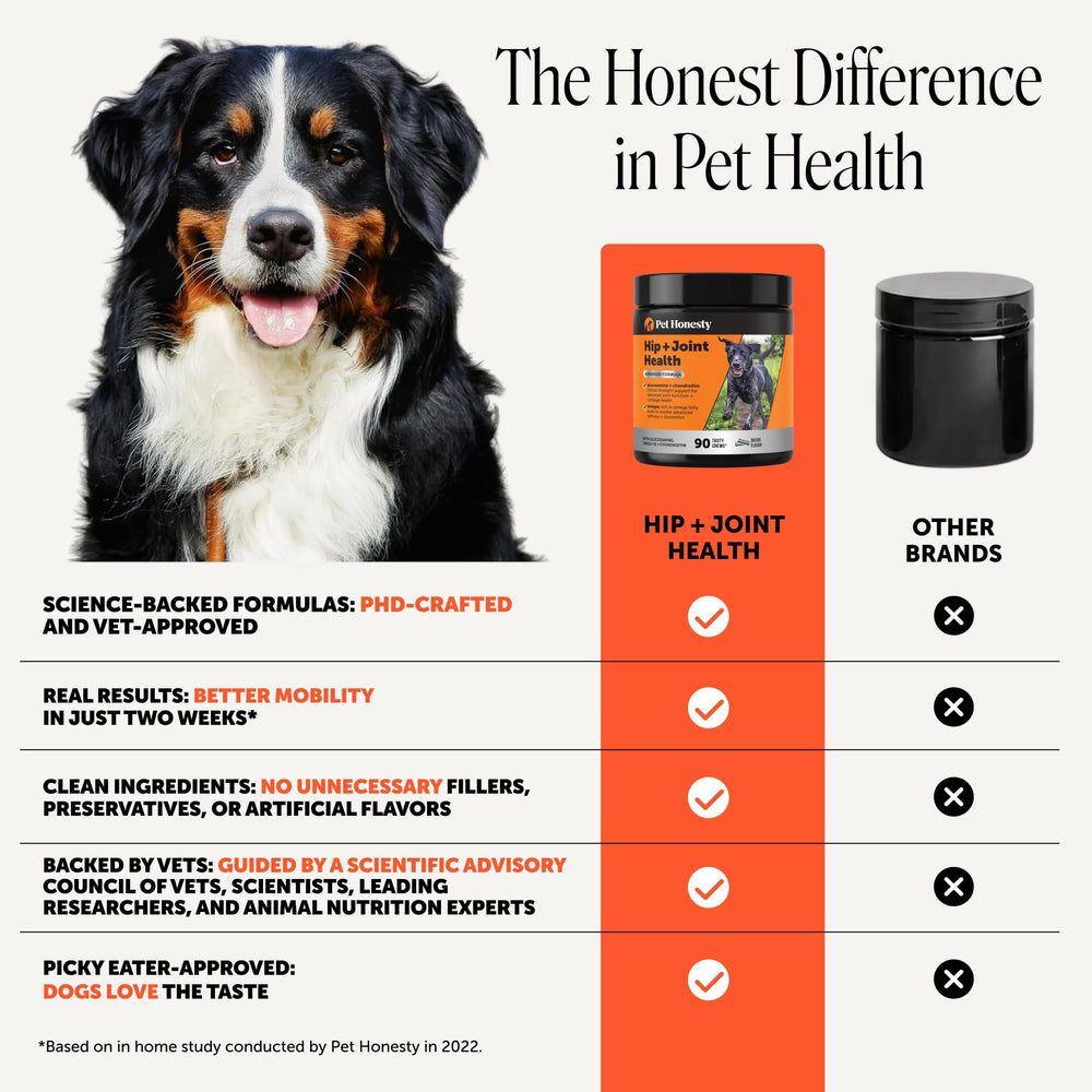 Perro disfrutando masticable Pet Honesty, sabor hickory bacon apetitoso