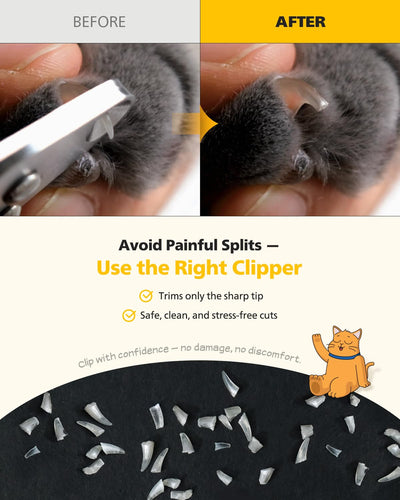 PETHROOM comparación de tamaño para manos y uñas de gato
