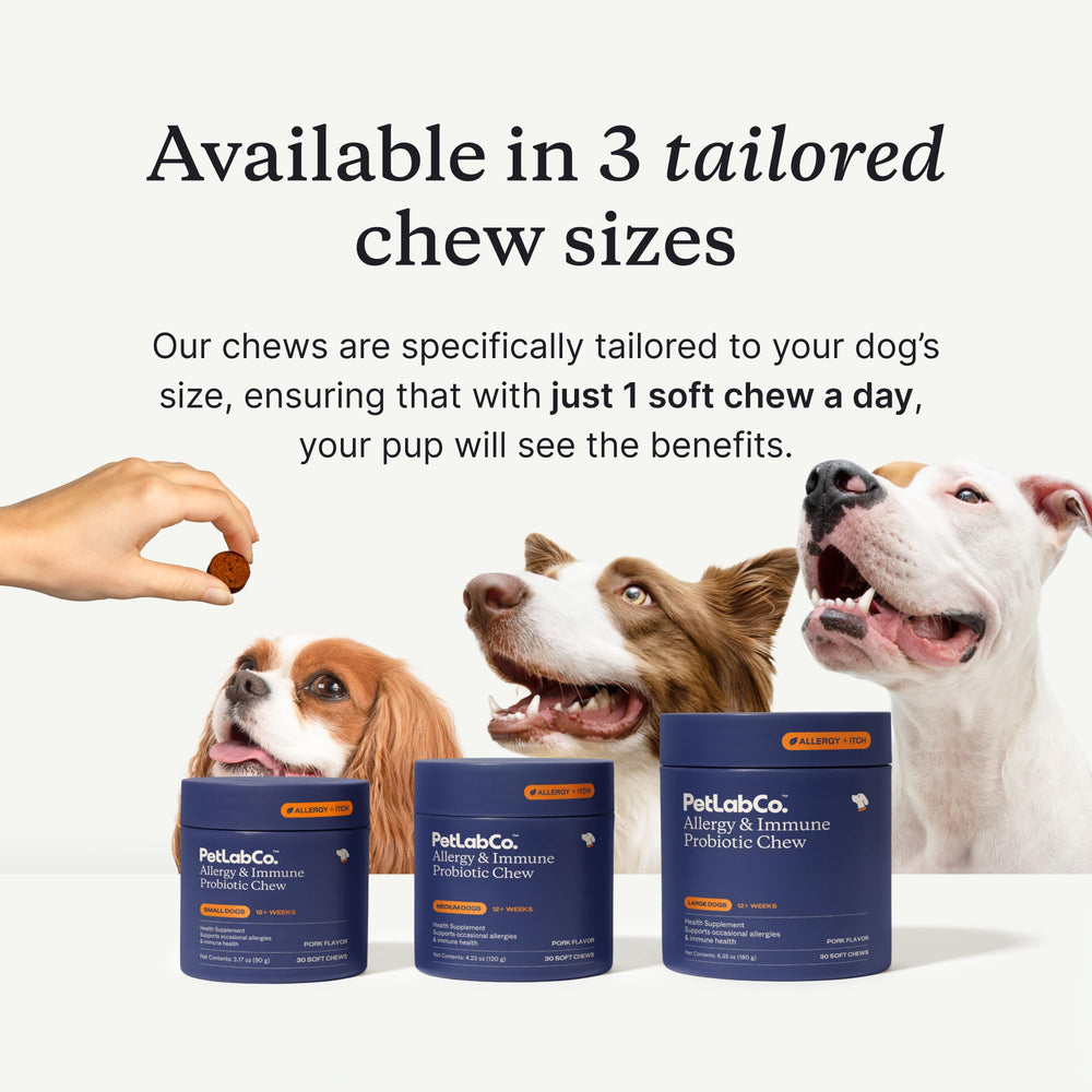 PetLab Co. chew next to measuring guide showing chew size for medium dogs